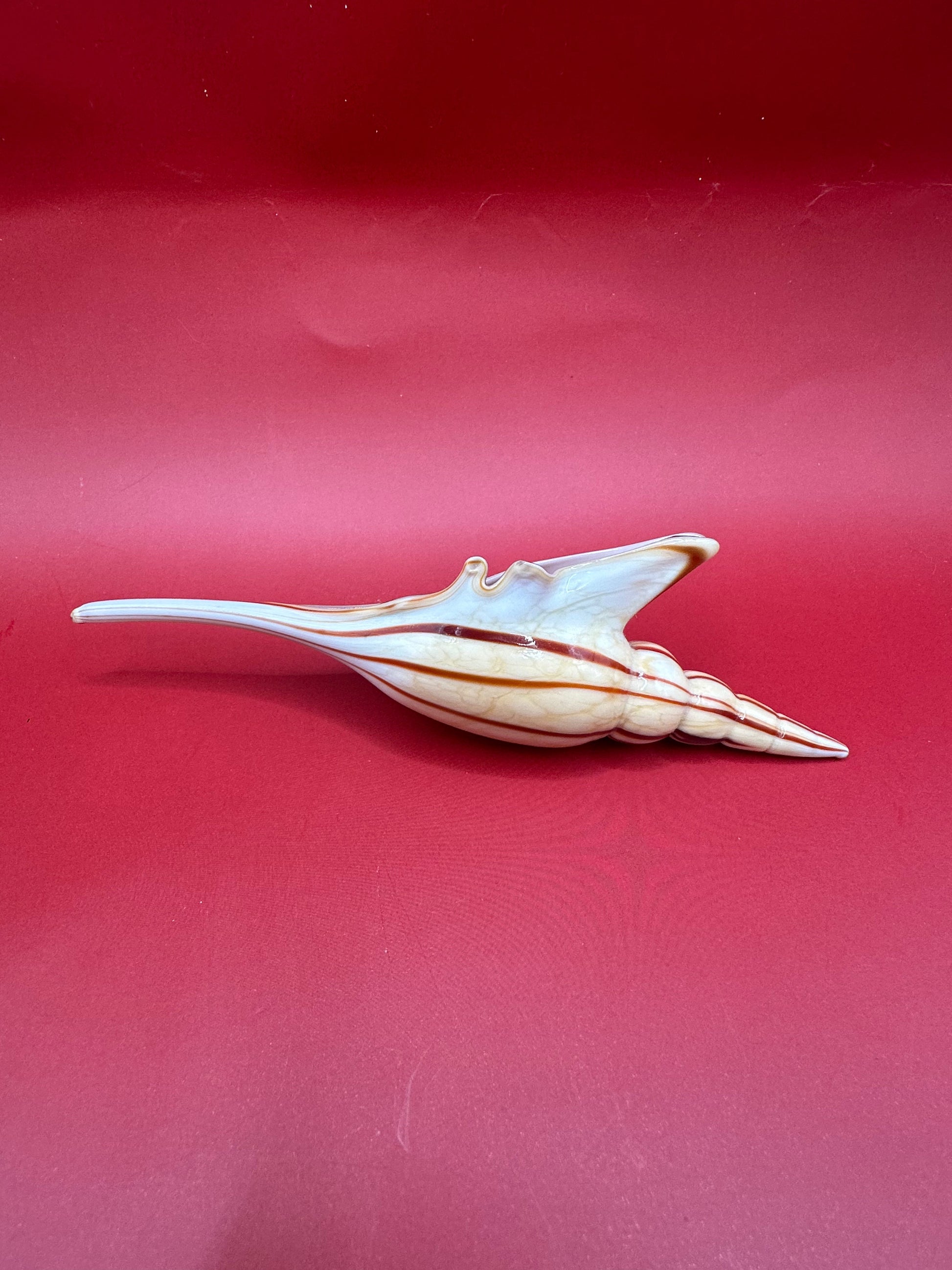 Glass Shell Sculpture – Coastal Home Decor 5-Inch Accent – Home & Garden > Home Decor > Decorative Objects