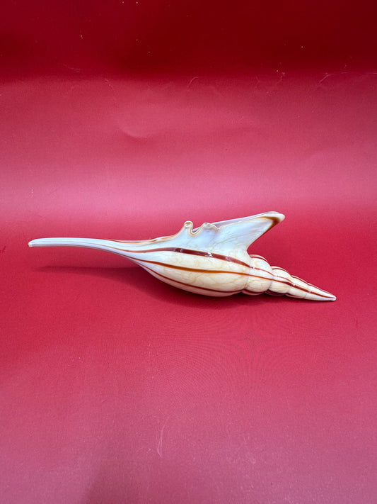 Glass Shell Sculpture – Coastal Home Decor 5-Inch Accent – Home & Garden > Home Decor > Decorative Objects