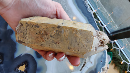 Lodalite Included Smokey Quartz Point