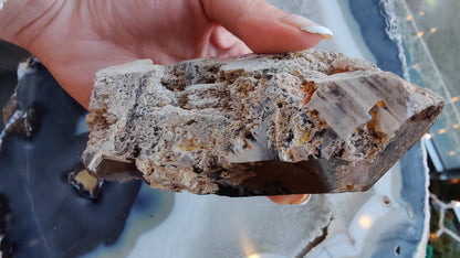 Lodalite Included Smoky Quartz Point from Brazil – Minerals