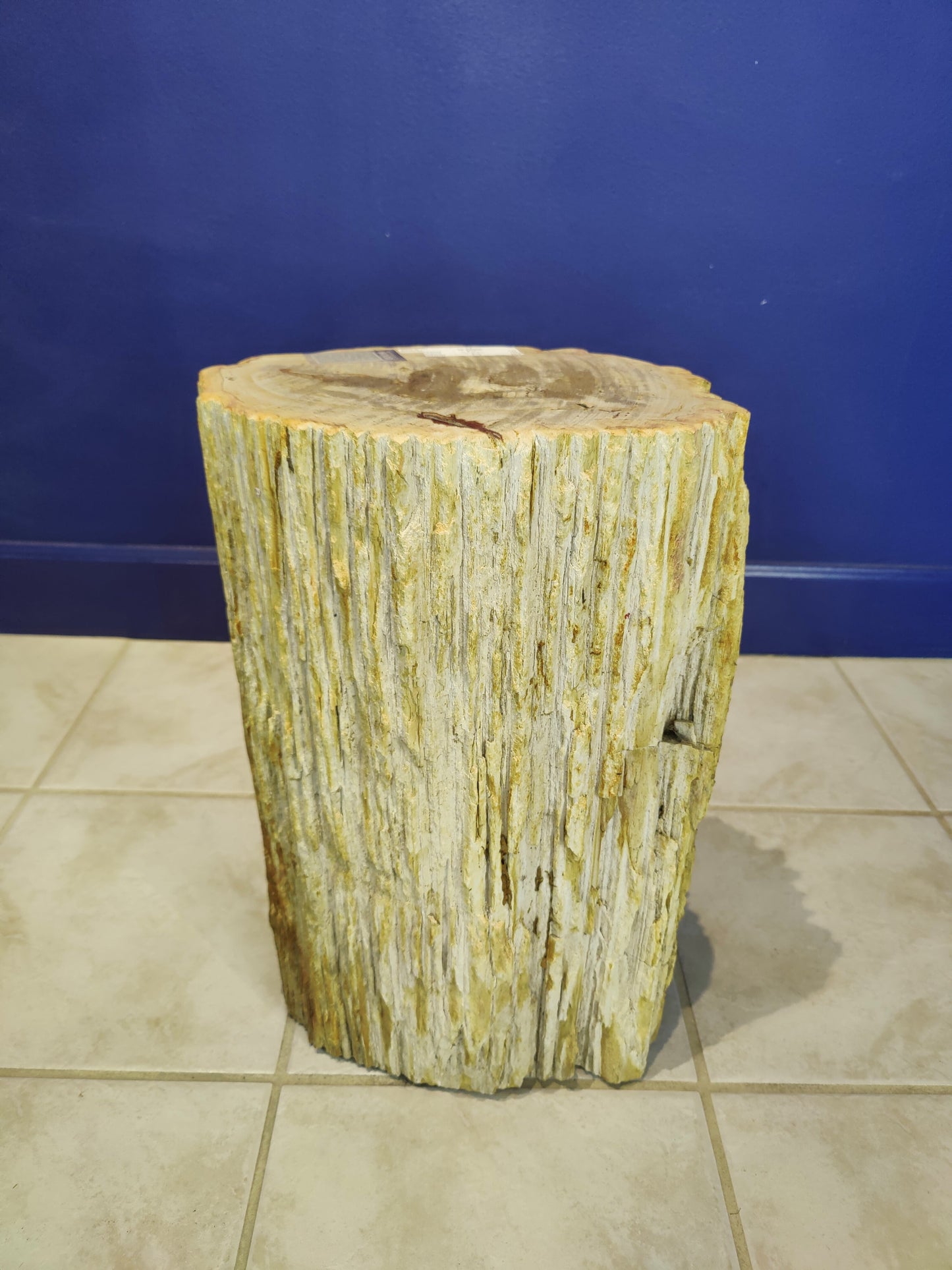 Petrified Wood Pedestal – Lapidary