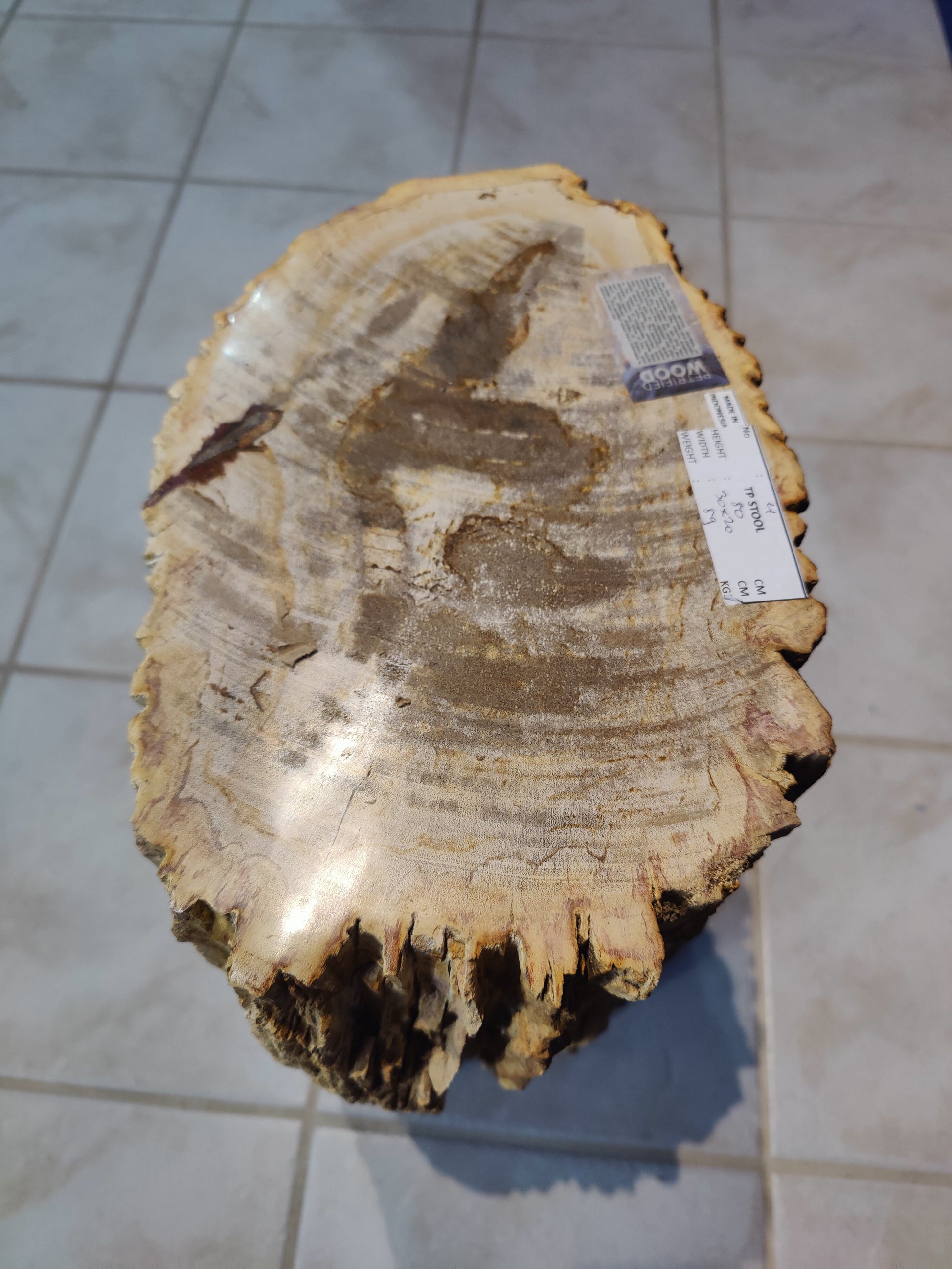 Petrified Wood Pedestal – Lapidary