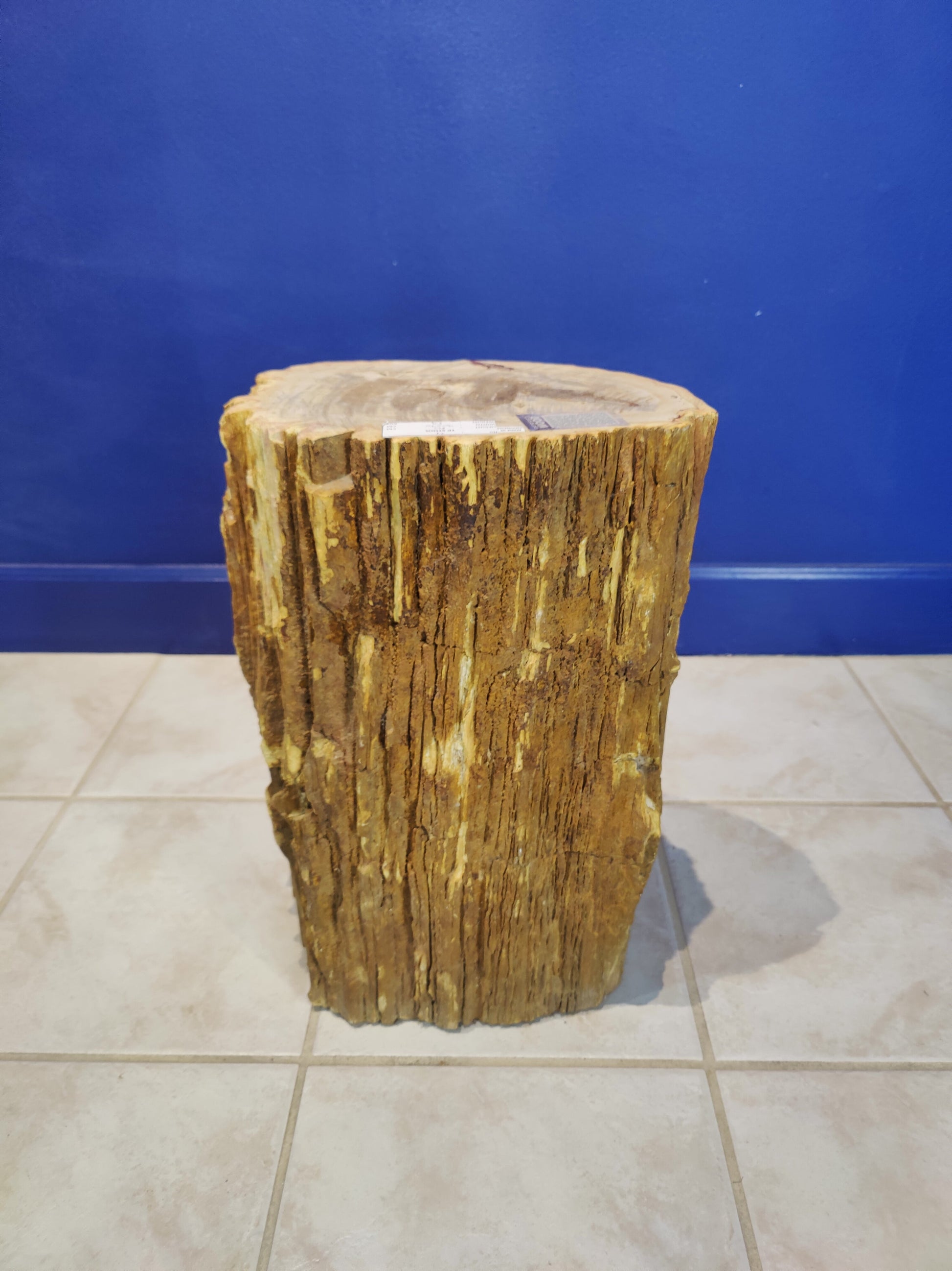 Petrified Wood Pedestal – 59kg 50cm 20" Lapidary