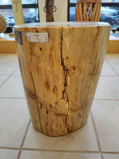 Petrified Wood Pedestal – Lapidary
