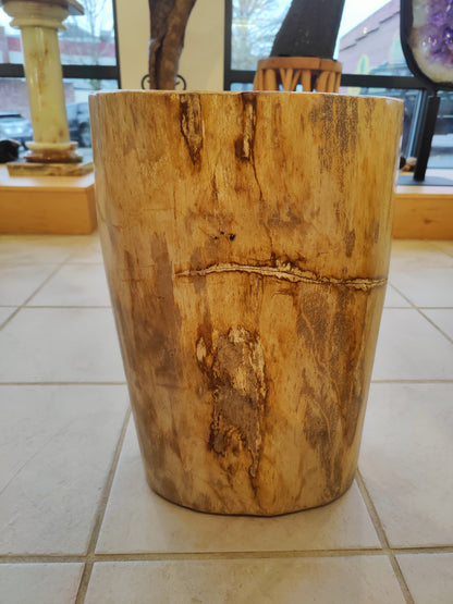 Petrified Wood Pedestal – 68kg 45cm 18" Lapidary