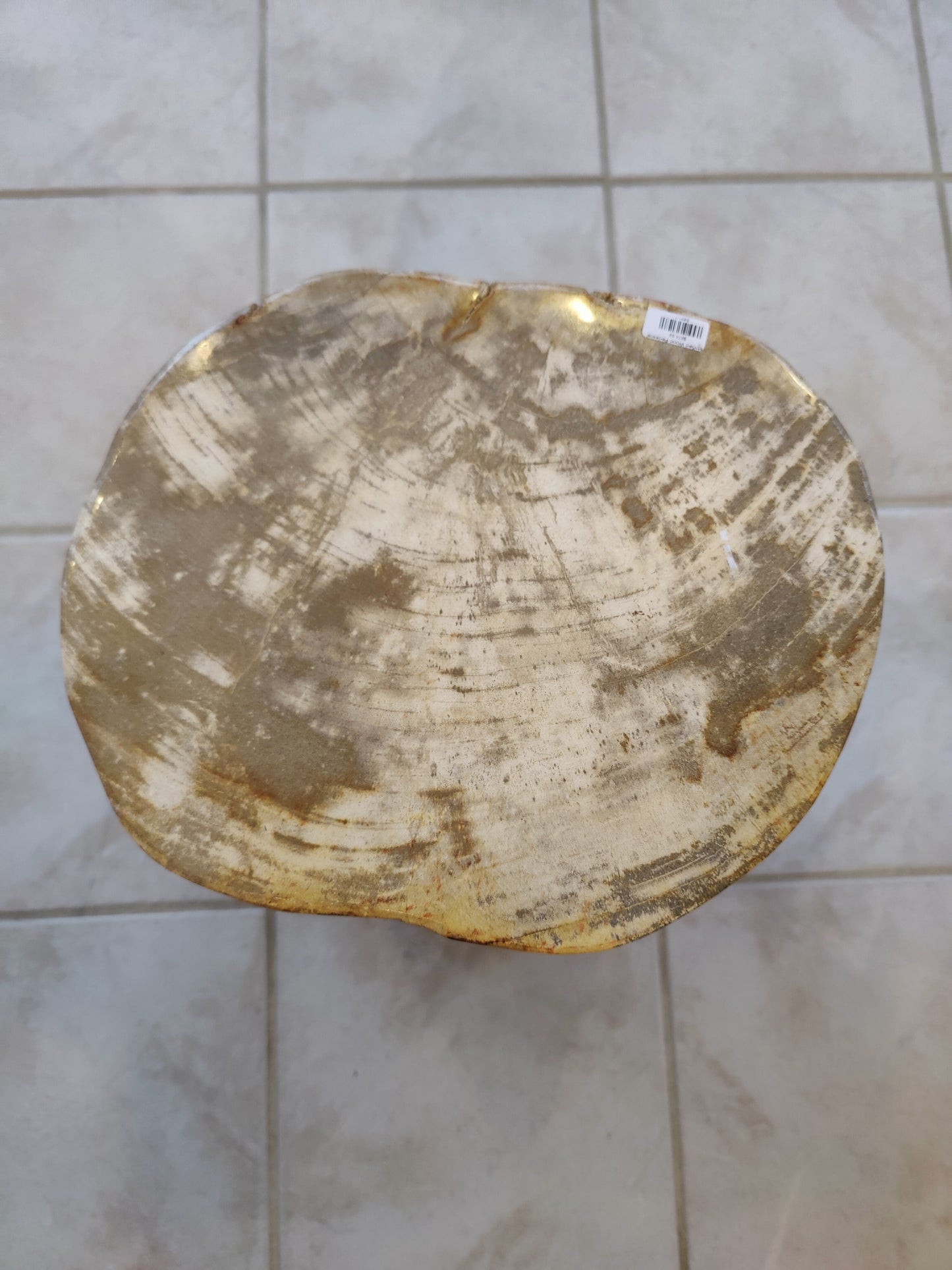 Petrified Wood Pedestal – Lapidary