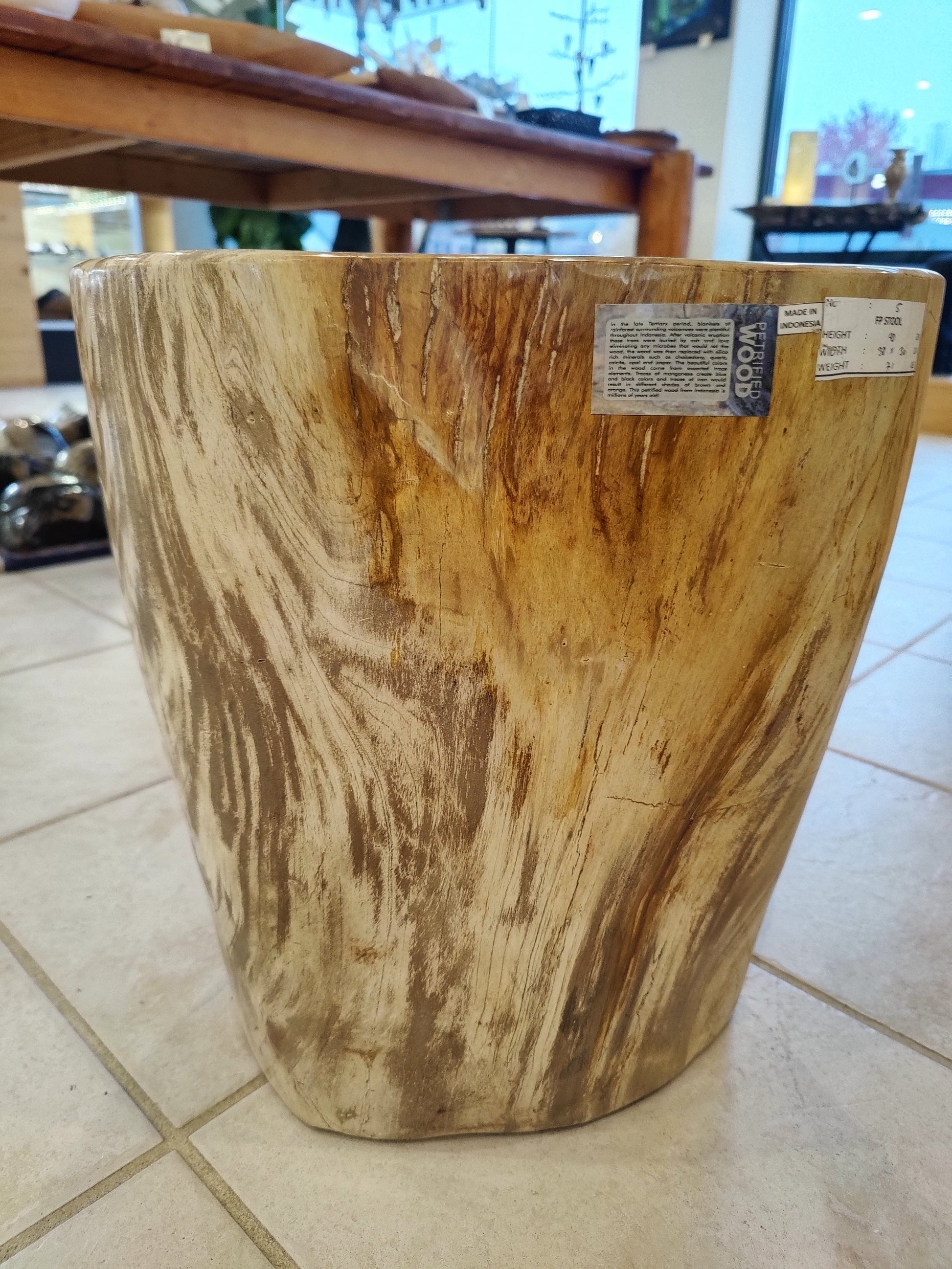 Petrified Wood Pedestal – Lapidary