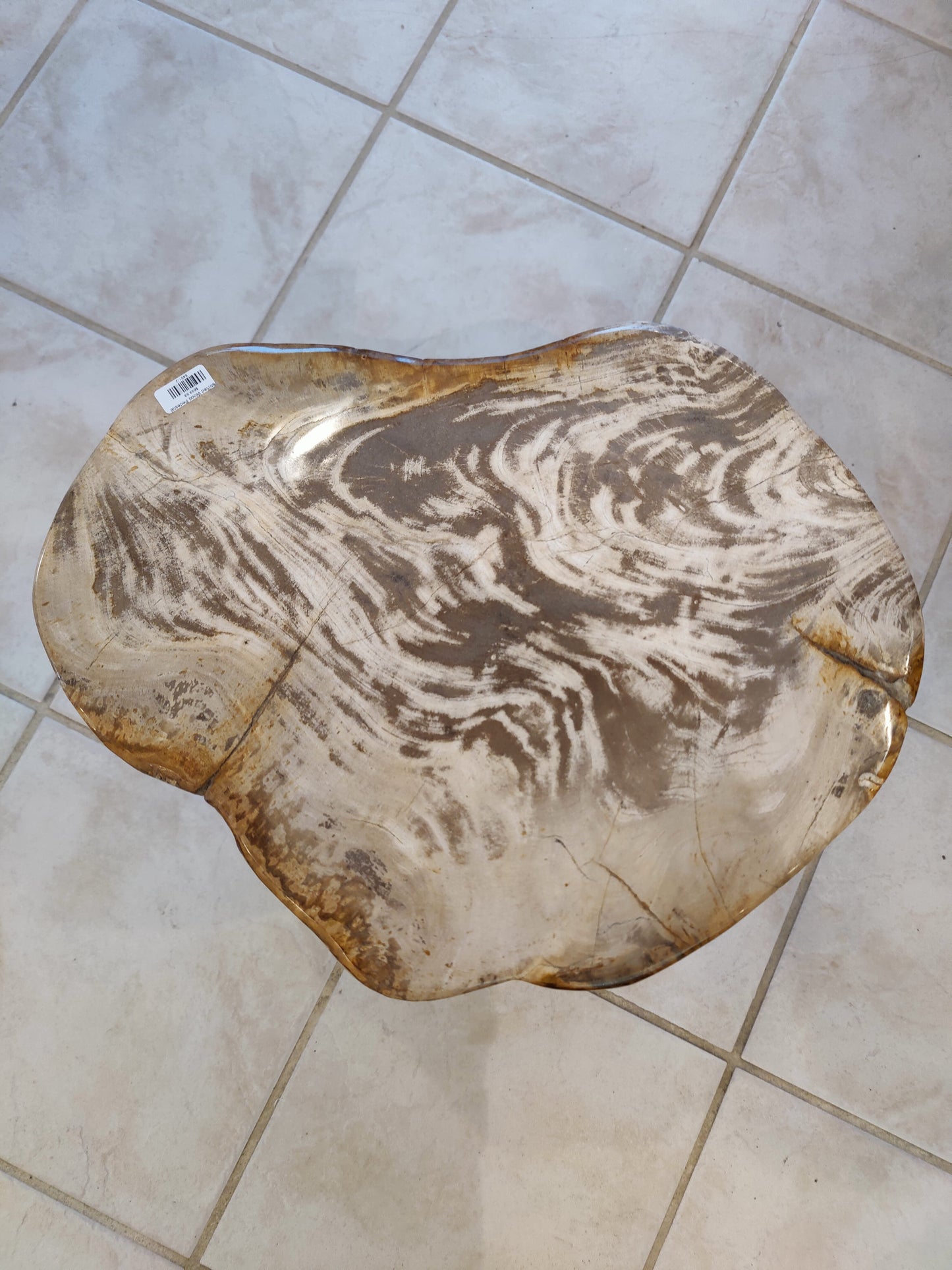Petrified Wood Pedestal – Lapidary