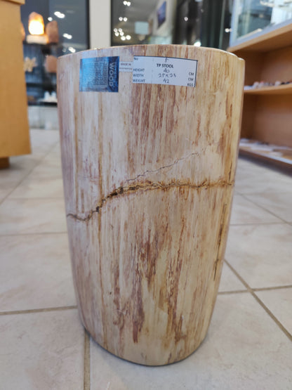 Petrified Wood Pedestal – Lapidary
