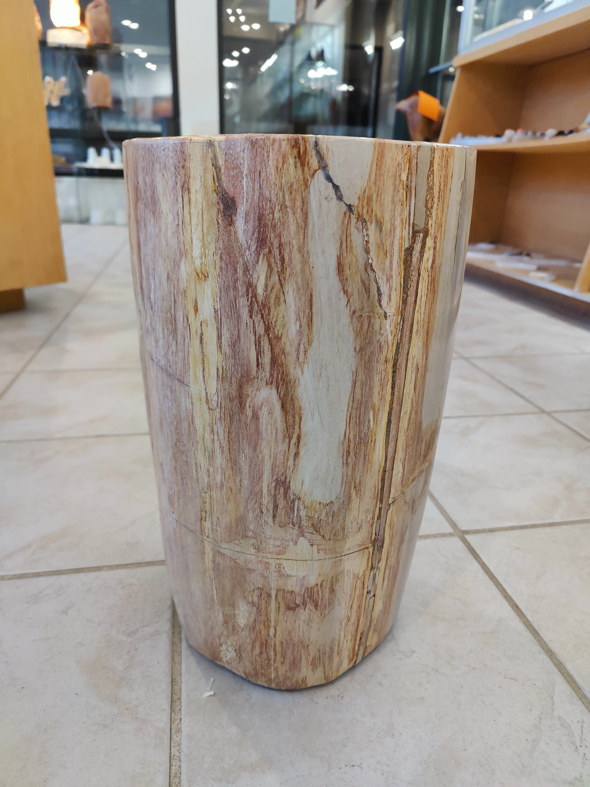 Petrified Wood Pedestal – 42kg 40cm 16" Lapidary