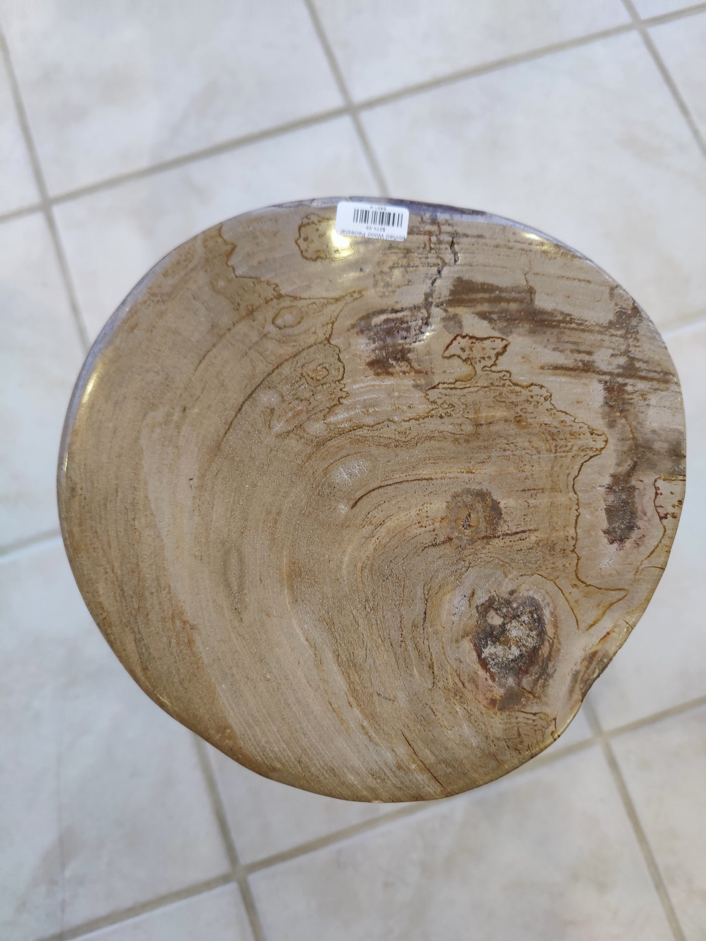 Petrified Wood Pedestal – Lapidary