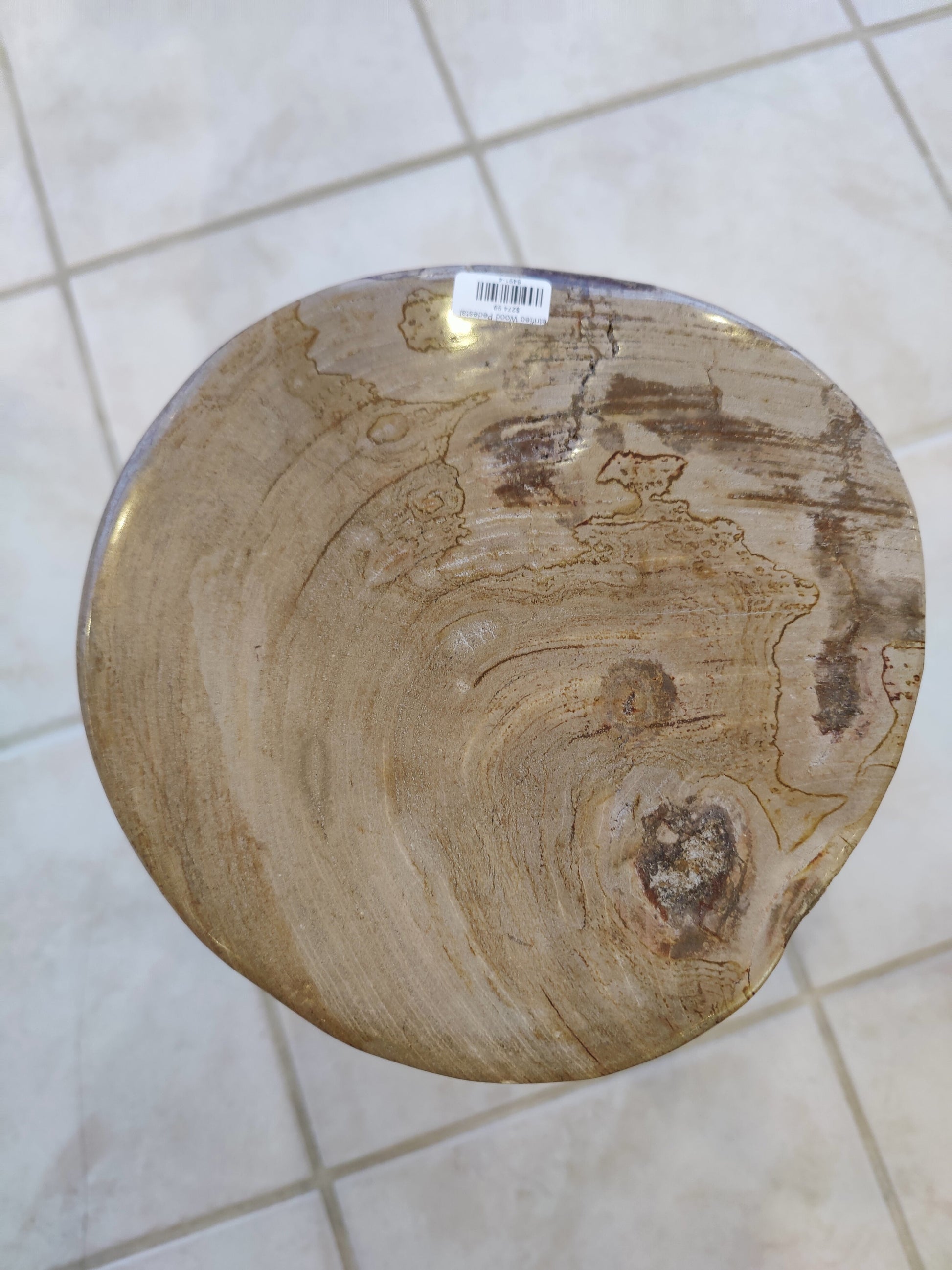 Petrified Wood Pedestal – Lapidary