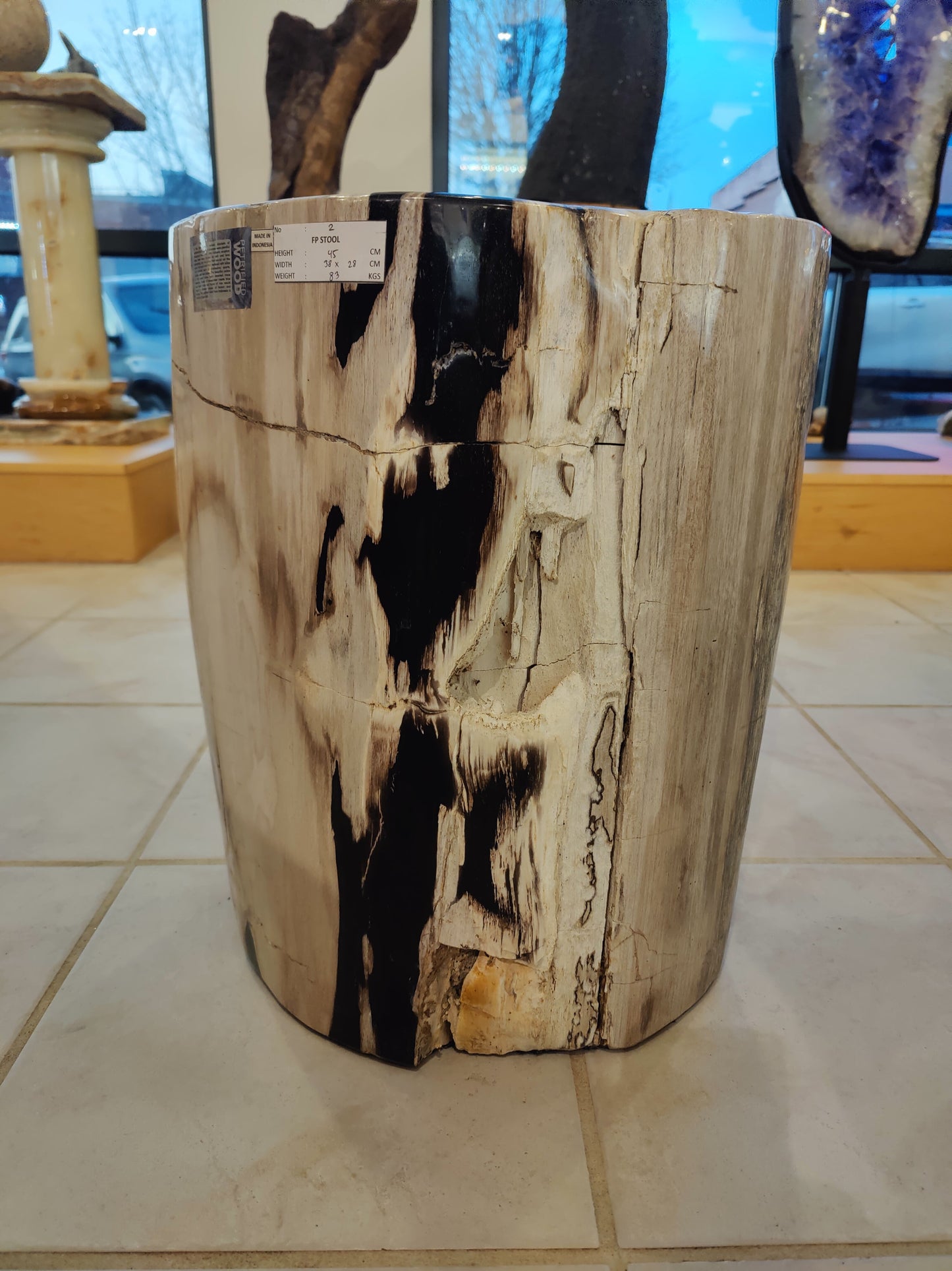 Petrified Wood Pedestal – 83kg 45cm 18" Lapidary