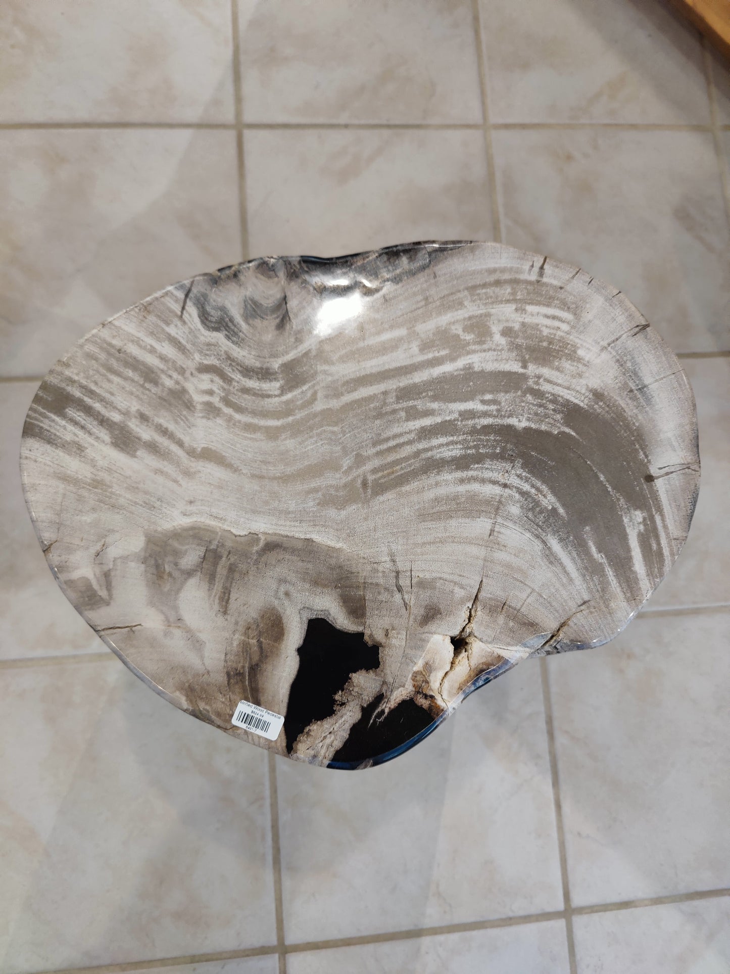 Petrified Wood Pedestal – Lapidary