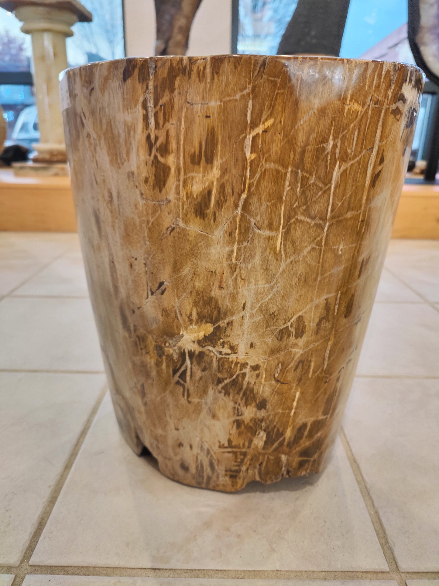 Petrified Wood Pedestal – Lapidary