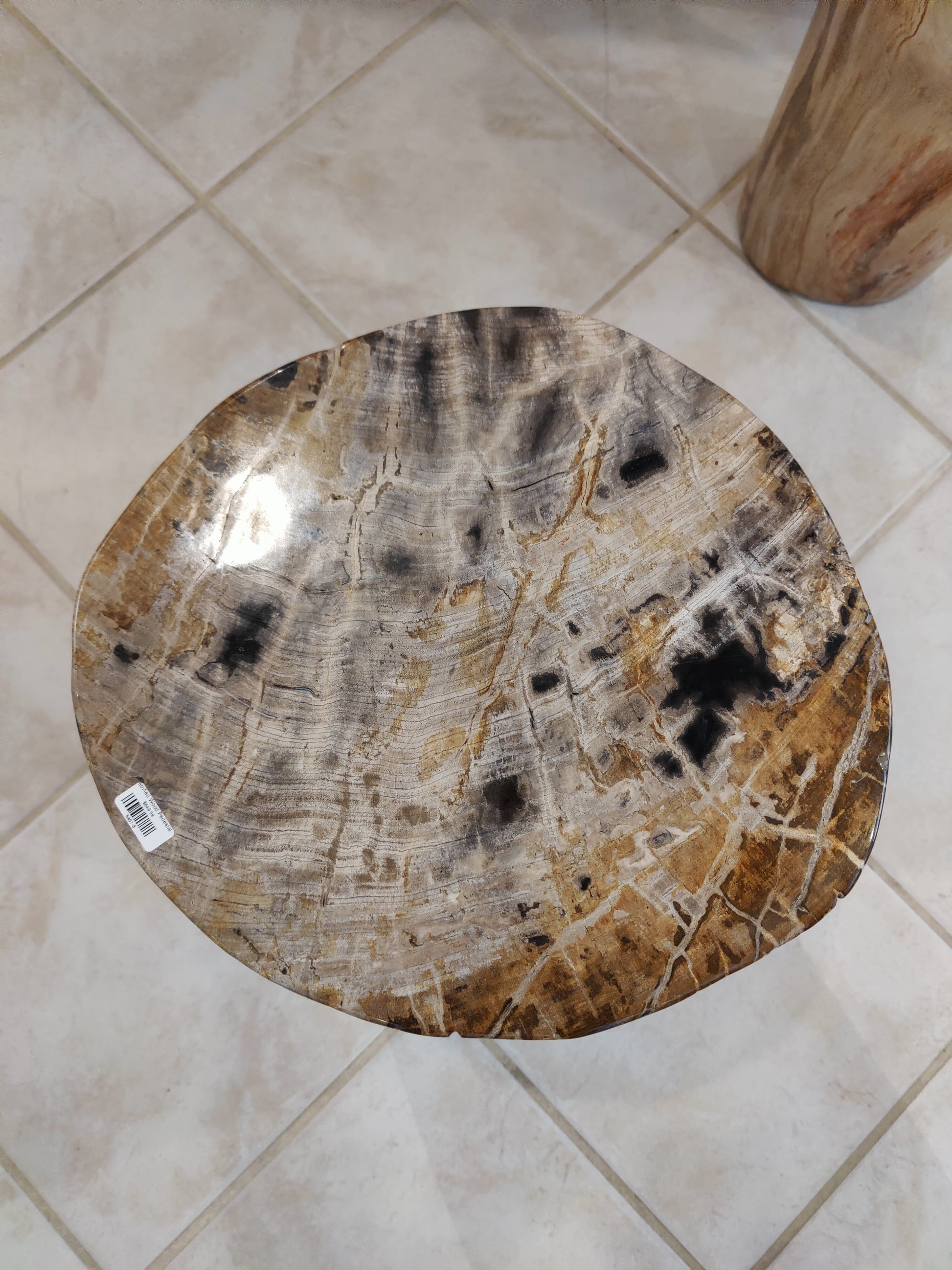 Petrified Wood Pedestal – Lapidary