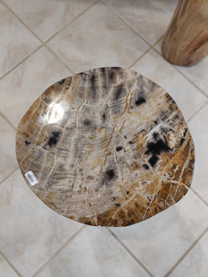 Petrified Wood Pedestal – Lapidary