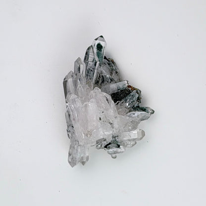 Lemurian Quartz – SM Cluster w Chlorite Phantom - Columbia