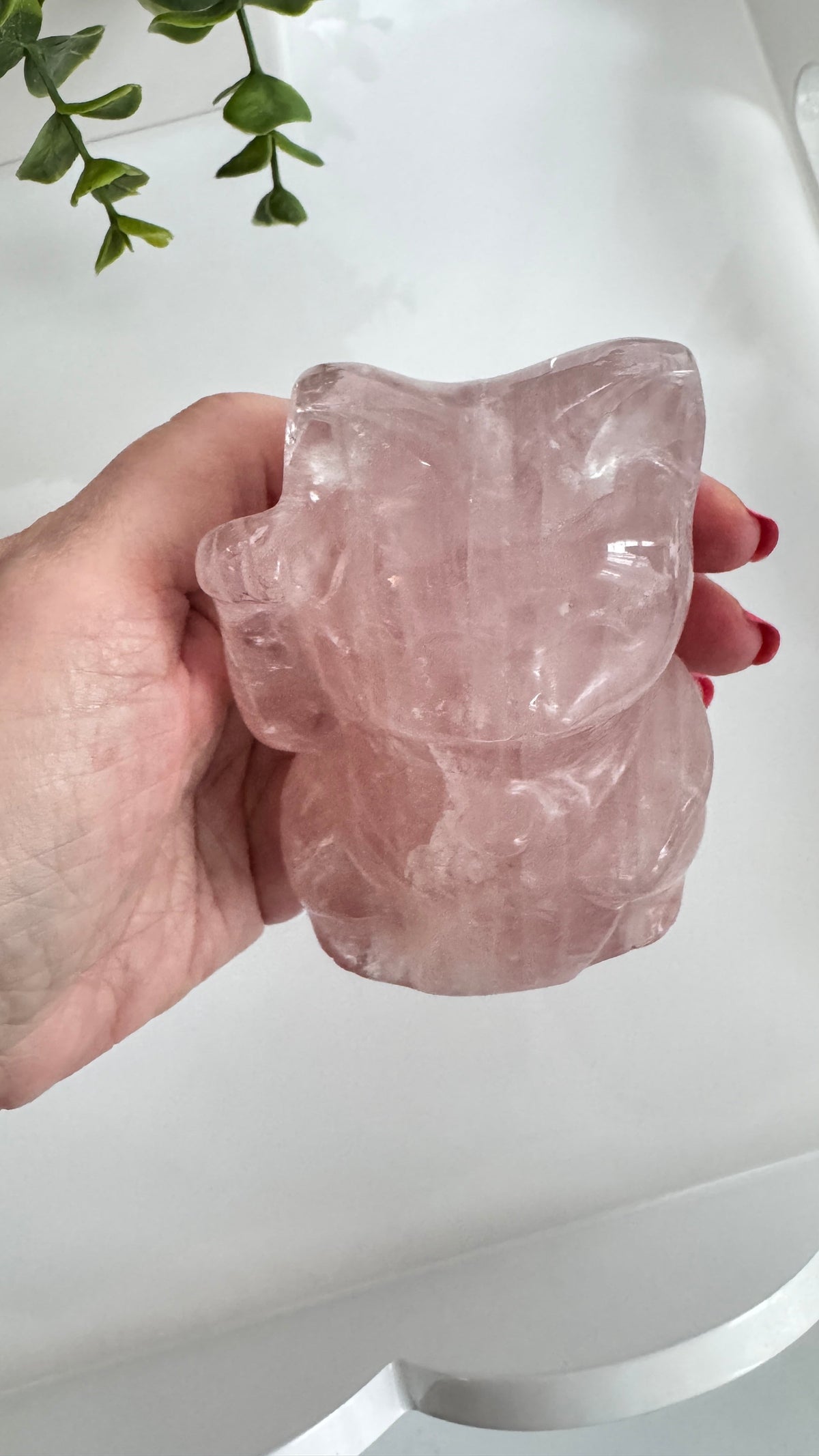 Rose Quartz Lucky Cat – XL 4" Maneki Neko Crystal Carving