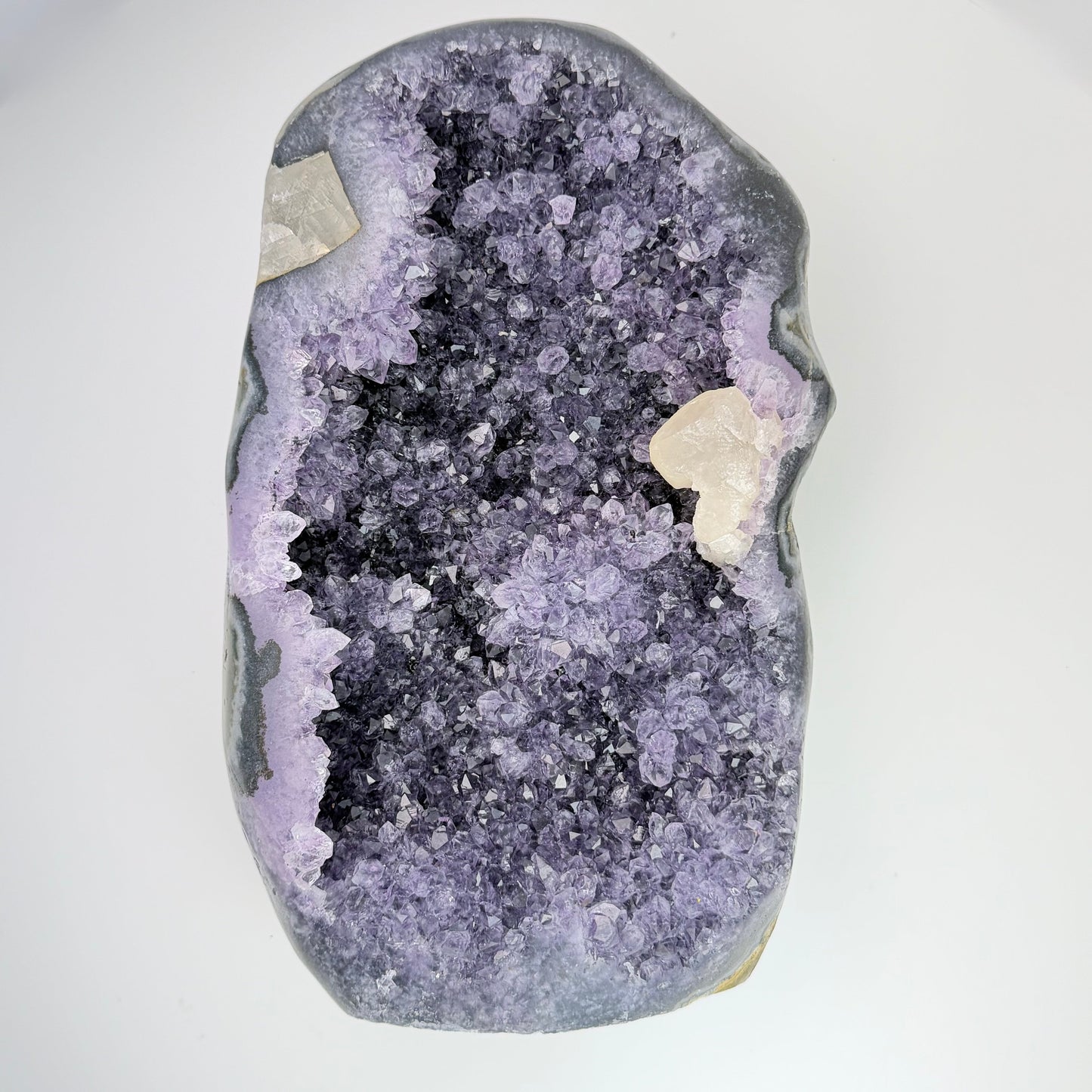 Amethyst (Uruguay) – Large Open Faced Geode 11x5.5x3"