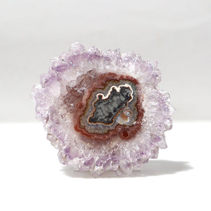 Delicate Crystal Flower Stalactite Slice – Amethysts Crystals Stalactites