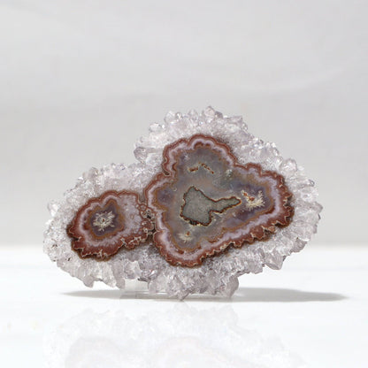 Brown Agate Center - Rare Stalactite Slice – Amethysts Crystals Stalactites