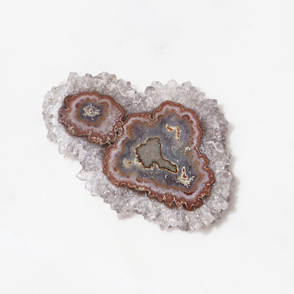 Brown Agate Center - Rare Stalactite Slice – Amethysts Crystals Stalactites