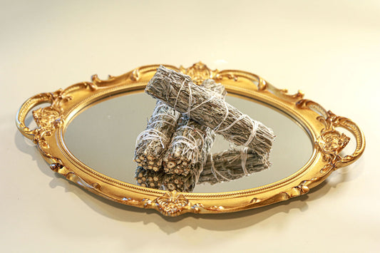 Black Sage (Mugworth) - 4" Sustainably Harvested