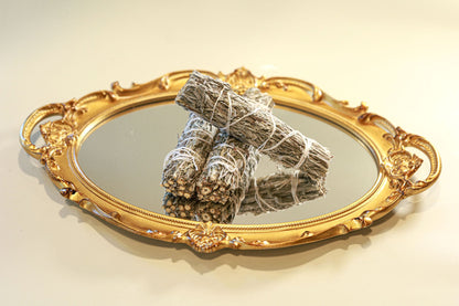 Black Sage (Mugworth) - 4" Sustainably Harvested