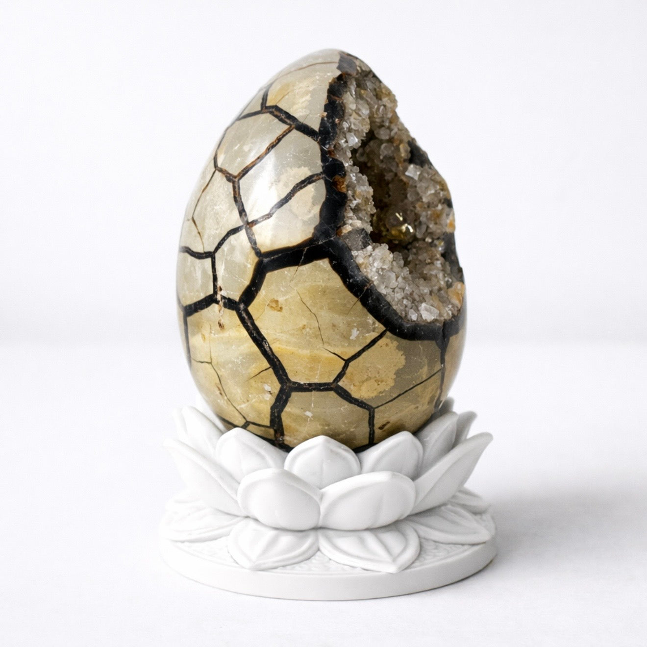 White Lotus Crystal Egg Stand with Natural Crystal Egg | Agate, Jasper, Calcite Display Holder –