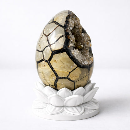 White Lotus Crystal Egg Stand with Natural Crystal Egg | Agate, Jasper, Calcite Display Holder –