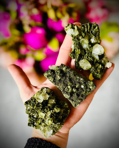 Large Forest Epidote Specimens from Turkey, Epidote and Quartz, Epidote Clusters – 100-124 Grams