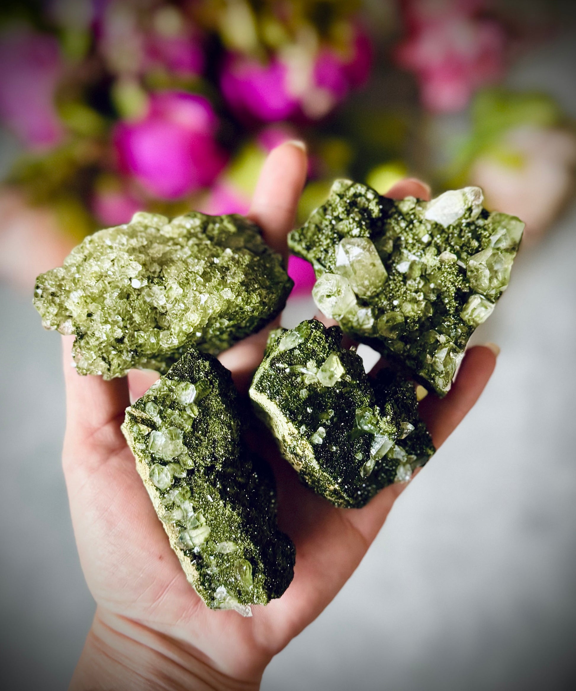 Large Forest Epidote Specimens from Turkey, Epidote and Quartz, Epidote Clusters – 125-149 Grams