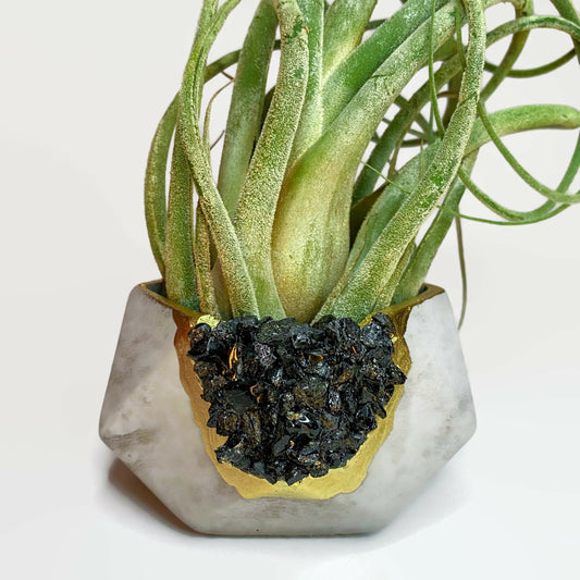 BLACK TOURMALINE GEOMETRIC PLANTER – Geometric Planter