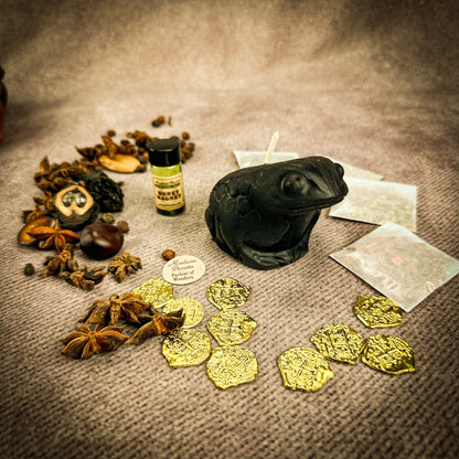 Lucky Money Frog Candle Spell Kit - Abundance & Prosperity – Black (Protect Money) Candle Spell Kit