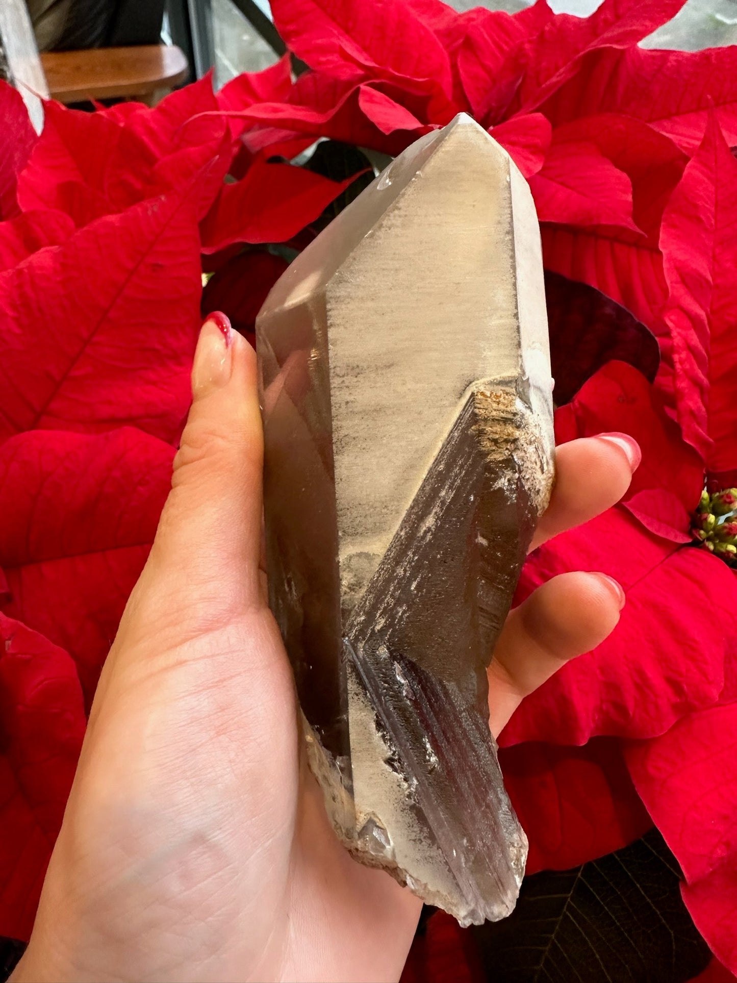 Lodalite Included Smoky Quartz with Phantoms 340g – Minerals