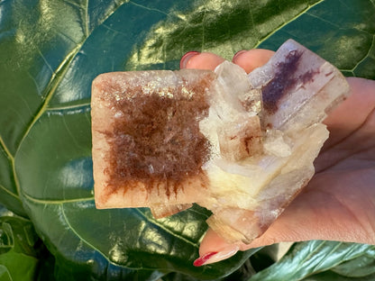 Red Apophyllite Cube (XL) from Pune, India – Minerals