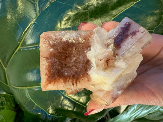 Red Apophyllite Cube (XL) from Pune, India – Minerals