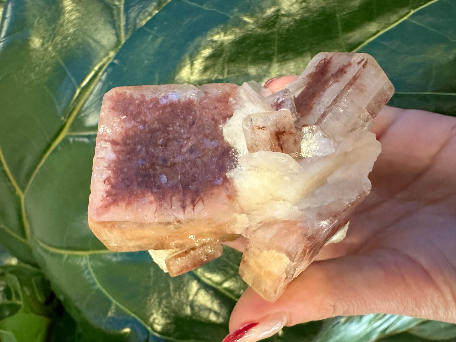 Red Apophyllite Cube (XL) from Pune, India – Minerals