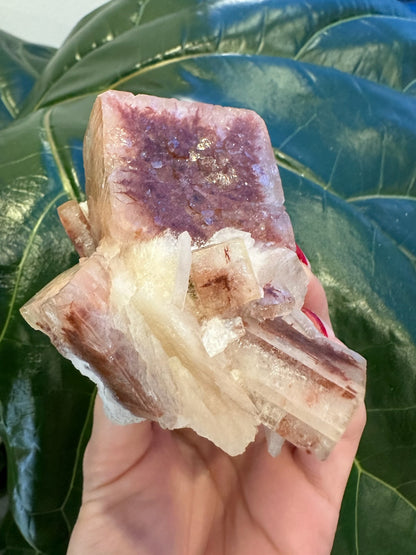 Red Apophyllite Cube (XL) from Pune, India – Form 1 Minerals