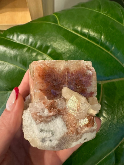 Red Apophyllite Cube (XL) from Pune, India – Form 2 Minerals