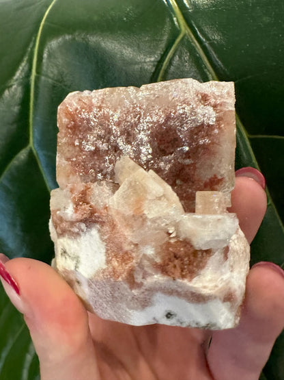 Red Apophyllite Cube (XL) from Pune, India – Minerals