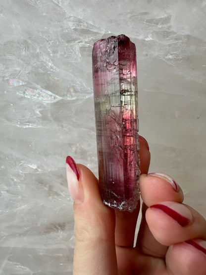 LARGE Gemmy Watermelon Tourmaline from Brazil – Minerals