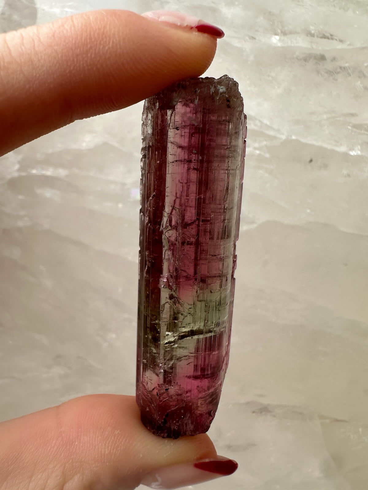 LARGE Gemmy Watermelon Tourmaline from Brazil – Minerals
