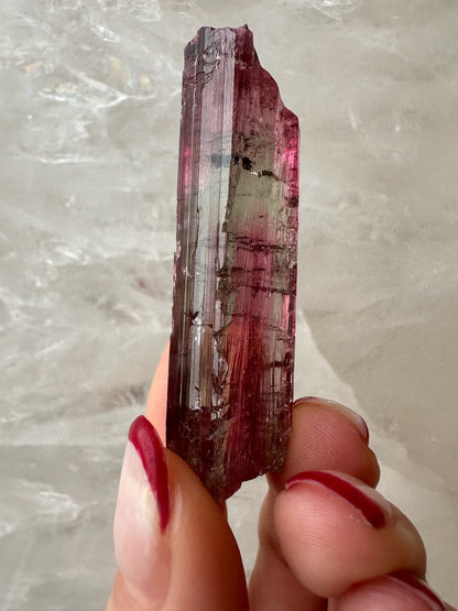 LARGE Gemmy Watermelon Tourmaline from Brazil – Minerals