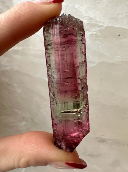 LARGE Gemmy Watermelon Tourmaline from Brazil – Minerals