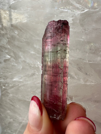 LARGE Gemmy Watermelon Tourmaline from Brazil – Minerals