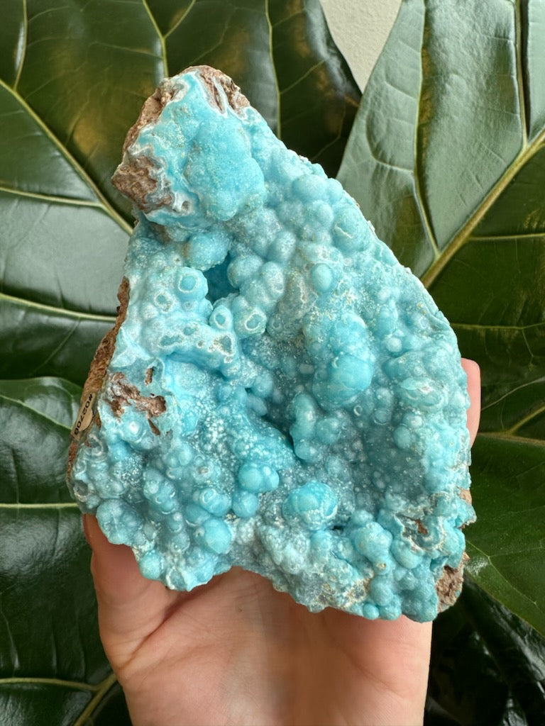 Botryoidal Blue Hemimorphite 0.5 kg – Minerals