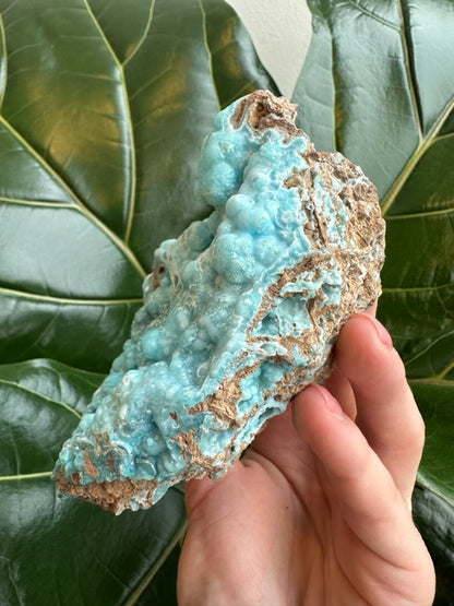 Botryoidal Blue Hemimorphite 0.5 kg – Minerals