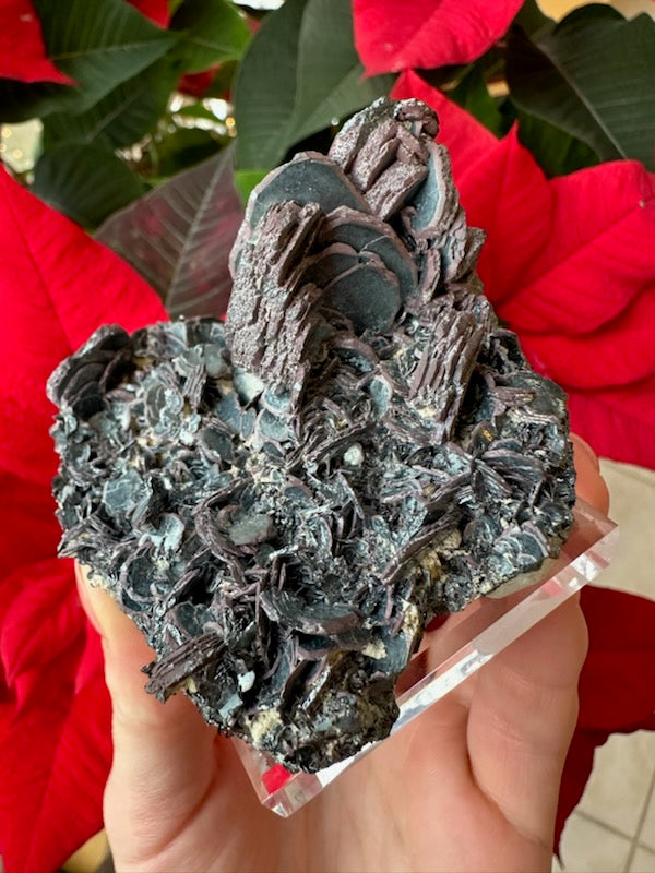 Hematite "Iron Rose" Crystal Cluster 220g